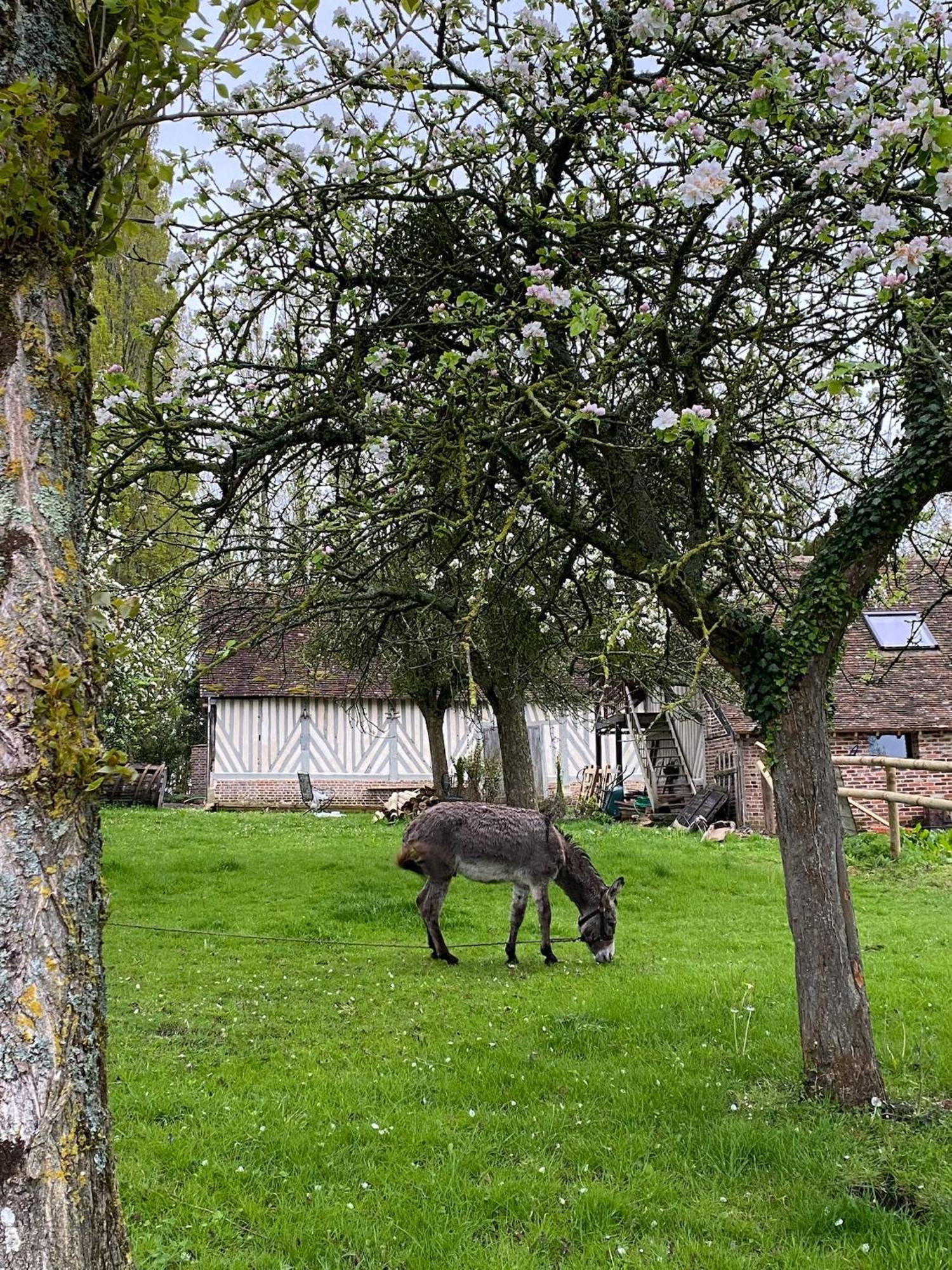 Gites Et Spa En Normandie Sainte-Marguerite-de-Viette Dış mekan fotoğraf